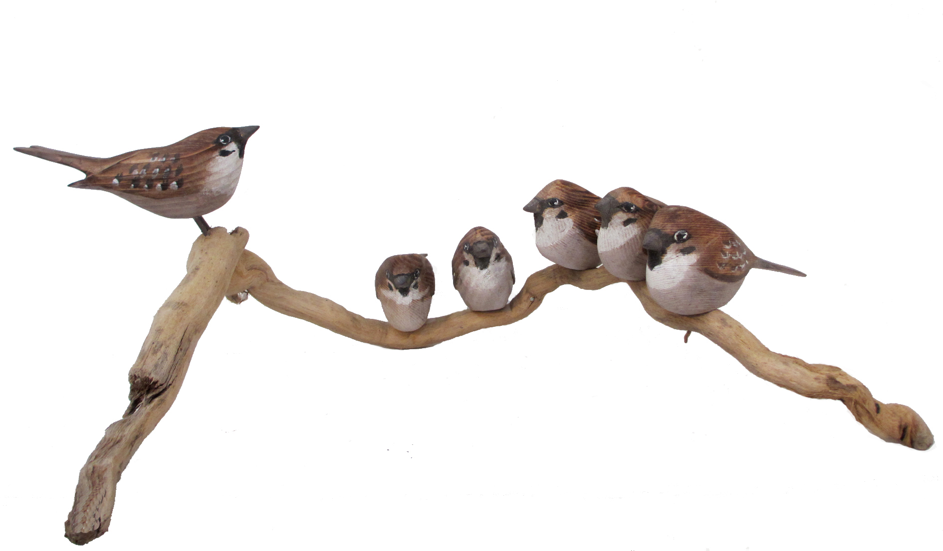 sparrows.jpg